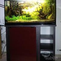 Acquario Vitrea life 33