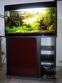 Acquario Vitrea life 33