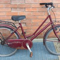 Bicicletta da donna. Ruote 24"