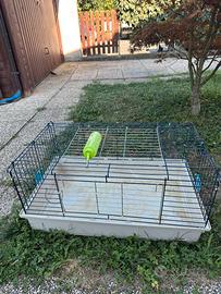 Gabbia coniglio
