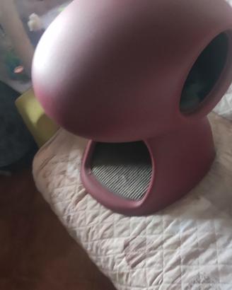 Cuccia gatto 
