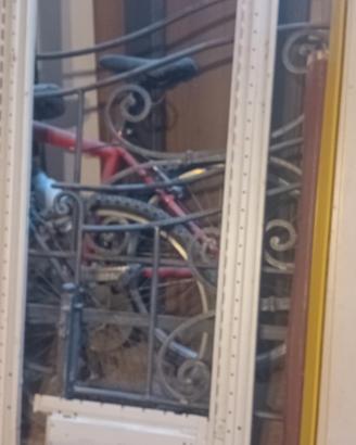 scaffalatura in alluminio per alimenti negozio