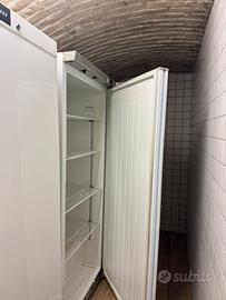 Frigorifero professionale Cool Head 600L