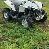 Can am Renegade 500 4x4 ridotte potentissimo