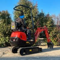 E213 Mini escavatore Neuson 10 q carro allargabile
