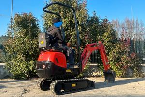 E213 Mini escavatore Neuson 10 q carro allargabile