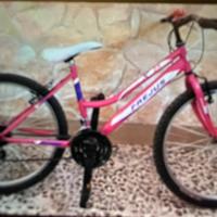 Bicicletta frejus 24