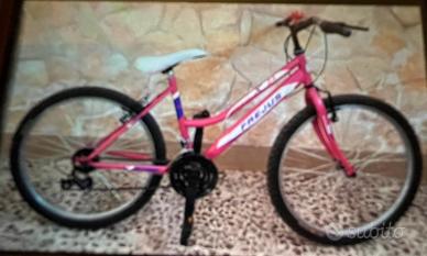 Bicicletta frejus 24