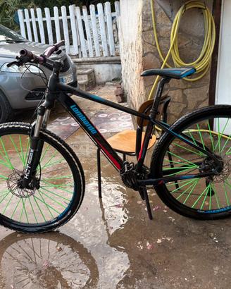 Bicicletta lombardo
