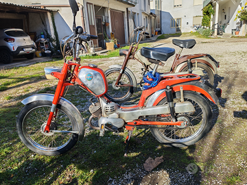 Benelli Export tipo D