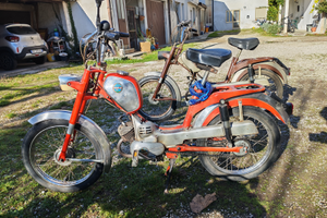 Benelli Export tipo D