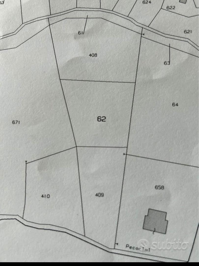 Terreno edificabile/uliveto - Vista 4