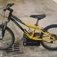 MTB Specialized Hotrock con telaio da 20"