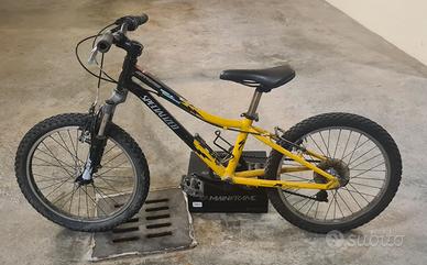 MTB Specialized Hotrock con telaio da 20"