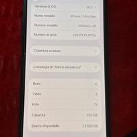 iphone 11 pro max 256 gb