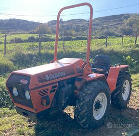 Trattore frutteto e vigneto Goldoni 945 RS/DT 42cv