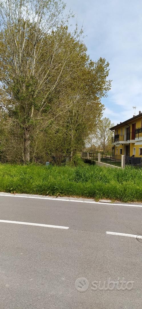 Terreno agricolo fronte strada - Vista 3
