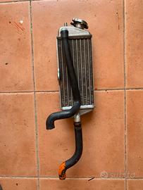 Radiatore destro am6