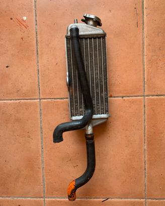 Radiatore destro am6