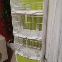 Gabbia STA la sessanta 