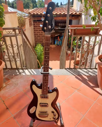 Basso Hollywood Meazzi Tiger anni 70 "suonante"