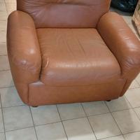 Poltrone in Pelle
