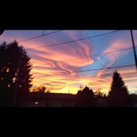 Baby sitter con patente