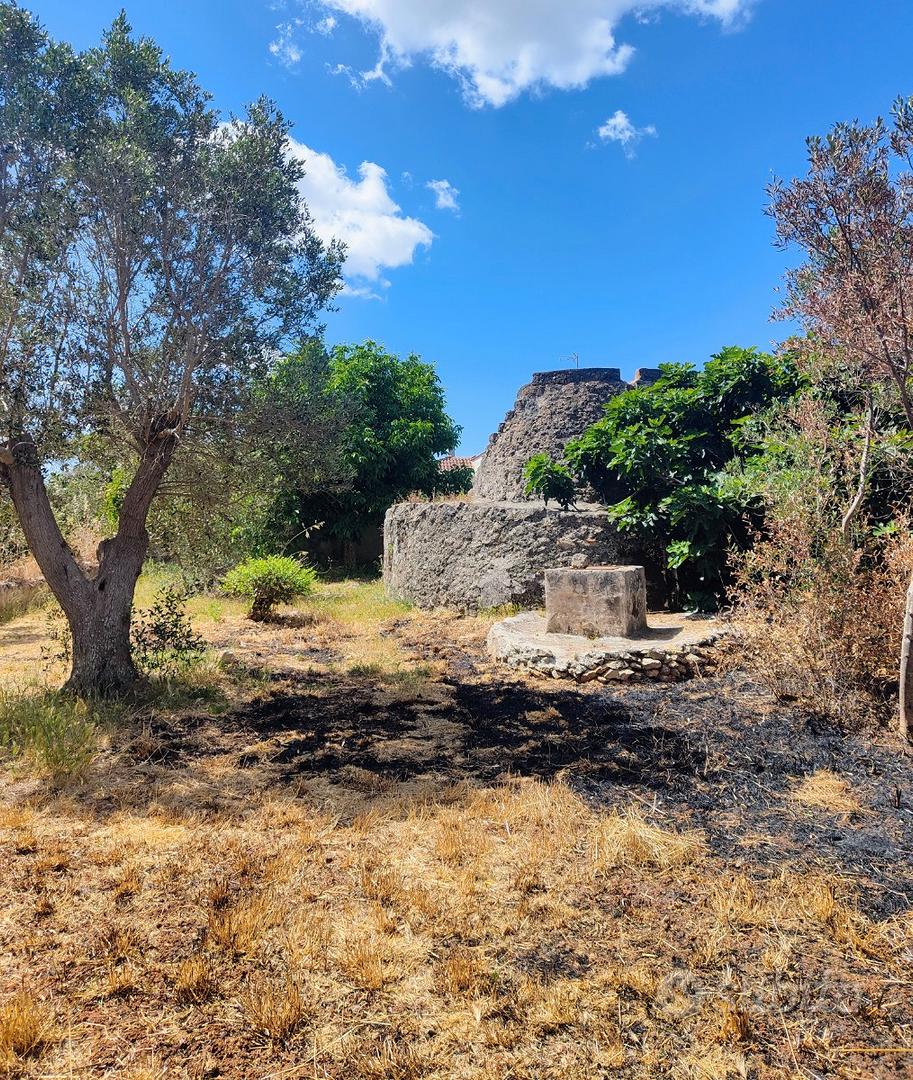 Terreno agricolo - Altro