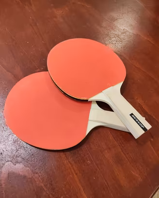 racchette da ping pong 