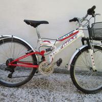 bicicletta da ragazza