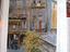 Immagine 3
