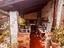Immagine 26