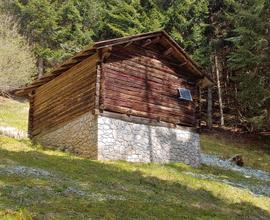 Rustico Fienile Baita Cadore Dolomiti bosco