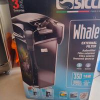 filtro per acquario 