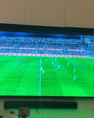 Tv 65
