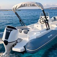 SEA 660 GT & new Honda BF 115 nuovi