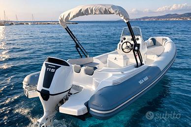 SEA 660 GT & new Honda BF 115 nuovi