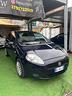 fiat-punto-evo