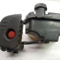 Briggs e Stratton serbatoio e carburatore