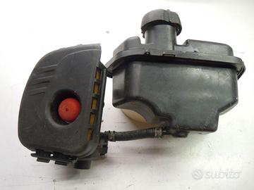 Briggs e Stratton serbatoio e carburatore