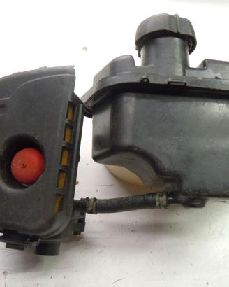 Briggs e Stratton serbatoio e carburatore