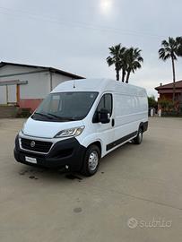 Fiat Ducato maxxi 2019
