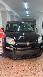 Fiat Panda Icon nuova65cv nera 5 porte full option