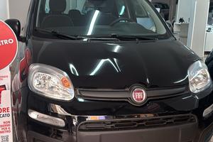 Fiat Panda Icon nuova65cv nera 5 porte full option