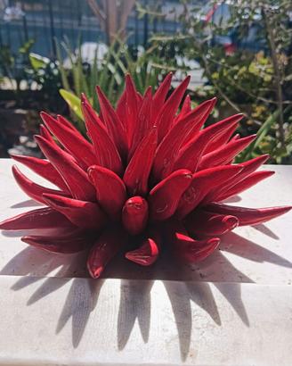 Anemone Ceramica Capretti Originale