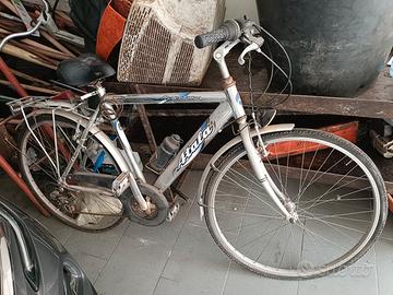 bici da passeggio 