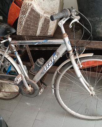 bici da passeggio 
