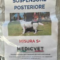 sospensore posteriore per cani medicvet