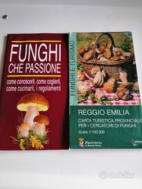 Carta turistica x cercatori  funghi sc 1:100.000