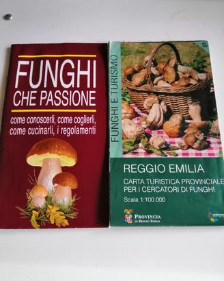 Carta turistica x cercatori  funghi sc 1:100.000